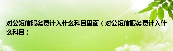 对公短信服务费计入什么科目里面（对公短信服务费计入什么科目）