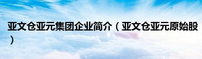 亚文仓亚元集团企业简介（亚文仓亚元原始股）