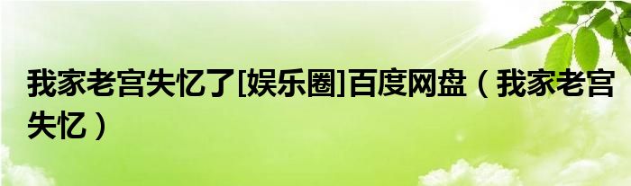 我家老宫失忆了[娱乐圈]百度网盘（我家老宫失忆）