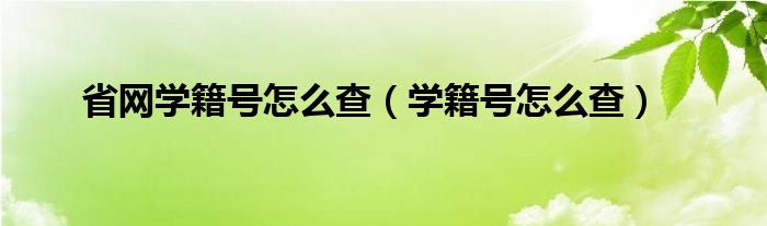 省网学籍号怎么查（学籍号怎么查）