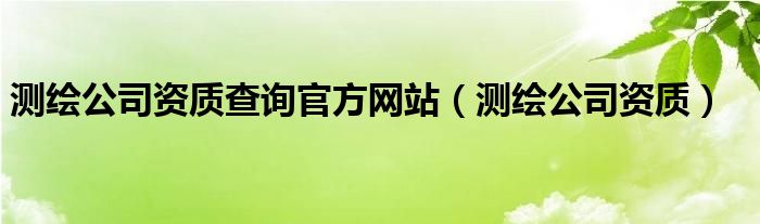 测绘公司资质查询官方网站（测绘公司资质）