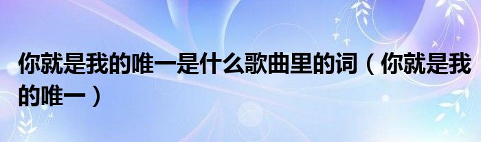 你就是我的唯一是什么歌曲里的词（你就是我的唯一）