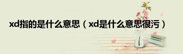 xd指的是什么意思（xd是什么意思很污）