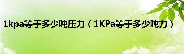 1kpa等于多少吨压力（1KPa等于多少吨力）