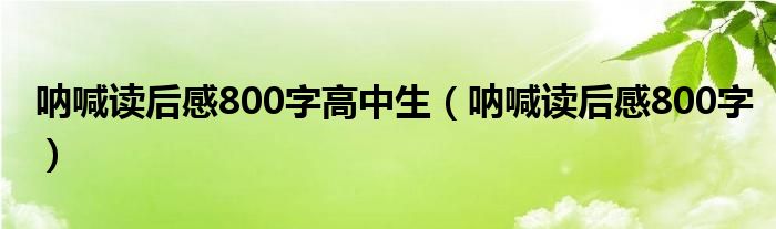 呐喊读后感800字高中生（呐喊读后感800字）