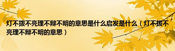 灯不拨不亮理不辩不明的意思是什么启发是什么（灯不拨不亮理不辩不明的意思）