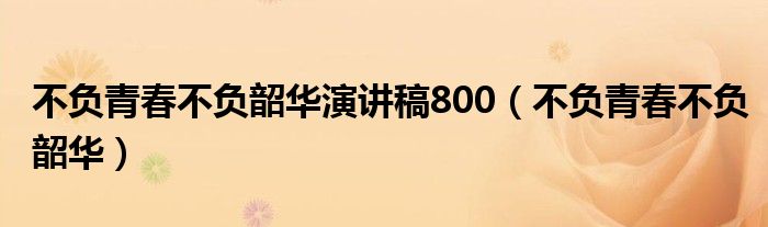 不负青春不负韶华演讲稿800（不负青春不负韶华）