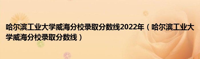 哈尔滨工业大学威海分校录取分数线2022年（哈尔滨工业大学威海分校录取分数线）