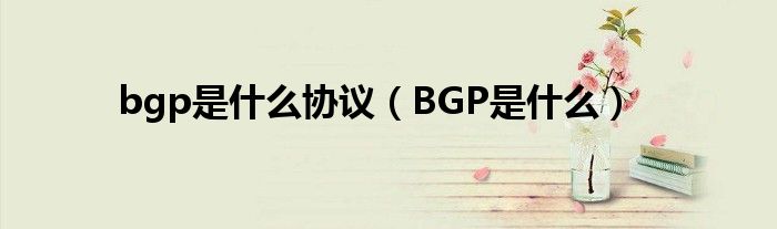 bgp是什么协议（BGP是什么）