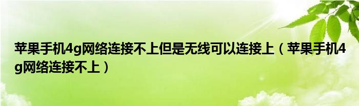 苹果手机4g网络连接不上但是无线可以连接上（苹果手机4g网络连接不上）