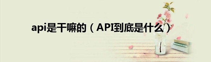 api是干嘛的（API到底是什么）