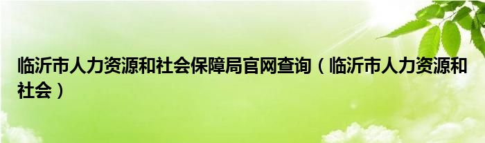 临沂市人力资源和社会保障局官网查询（临沂市人力资源和社会）