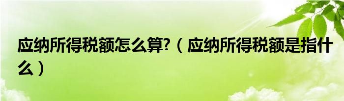 应纳所得税额怎么算?（应纳所得税额是指什么）