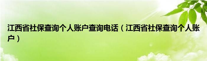 江西省社保查询个人账户查询电话（江西省社保查询个人账户）