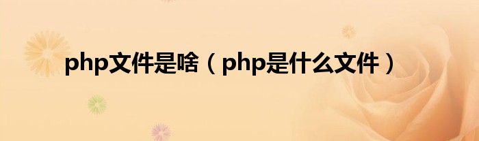 php文件是啥（php是什么文件）