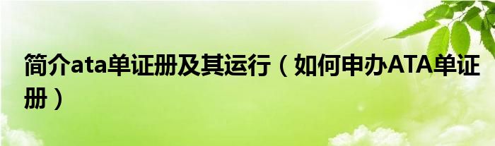 简介ata单证册及其运行（如何申办ATA单证册）