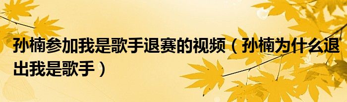 孙楠参加我是歌手退赛的视频（孙楠为什么退出我是歌手）