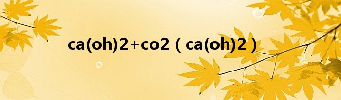 ca(oh)2+co2（ca(oh)2）