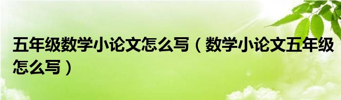 五年级数学小论文怎么写（数学小论文五年级怎么写）