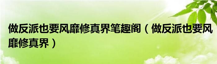 做反派也要风靡修真界笔趣阁（做反派也要风靡修真界）