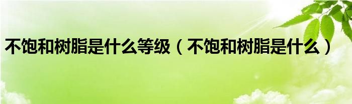 不饱和树脂是什么等级（不饱和树脂是什么）