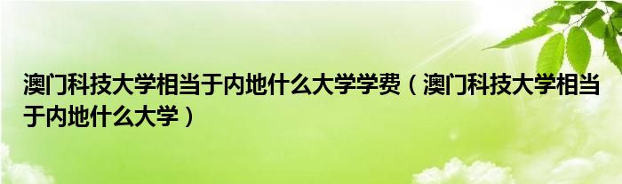 澳门科技大学相当于内地什么大学学费（澳门科技大学相当于内地什么大学）