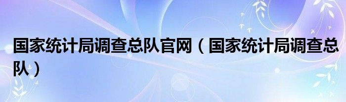 国家统计局调查总队官网（国家统计局调查总队）