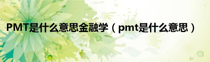 PMT是什么意思金融学（pmt是什么意思）