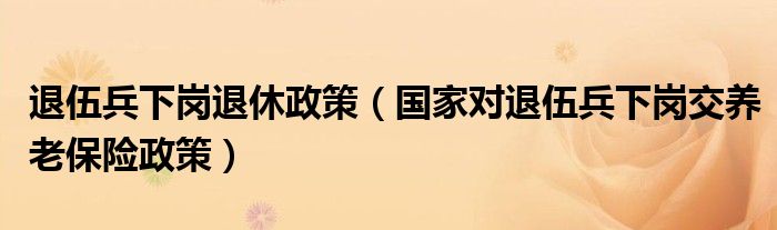 退伍兵下岗退休政策（国家对退伍兵下岗交养老保险政策）