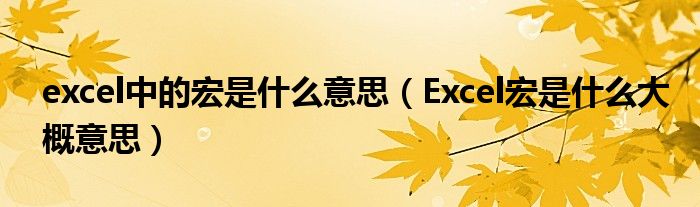 excel中的宏是什么意思（Excel宏是什么大概意思）