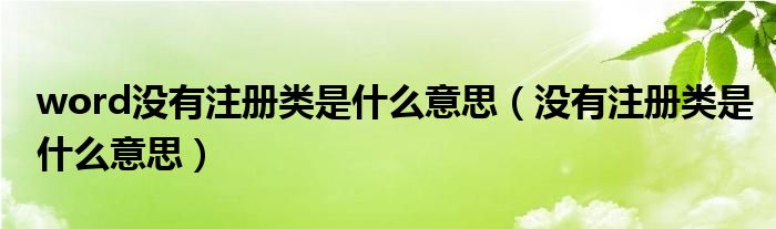 word没有注册类是什么意思（没有注册类是什么意思）