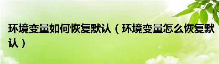 环境变量如何恢复默认（环境变量怎么恢复默认）