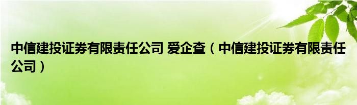 中信建投证券有限责任公司 爱企查（中信建投证券有限责任公司）