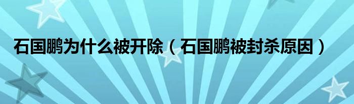 石国鹏为什么被开除（石国鹏被封杀原因）