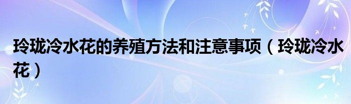 玲珑冷水花的养殖方法和注意事项（玲珑冷水花）