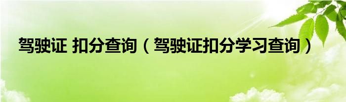 驾驶证 扣分查询（驾驶证扣分学习查询）