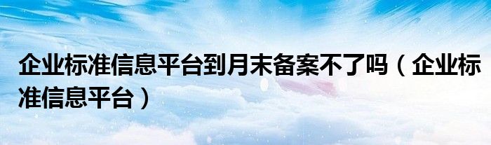 企业标准信息平台到月末备案不了吗（企业标准信息平台）