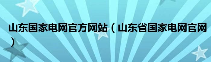 山东国家电网官方网站（山东省国家电网官网）