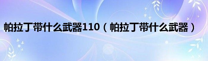 帕拉丁带什么武器110（帕拉丁带什么武器）