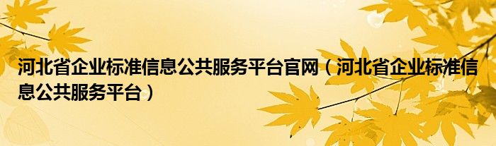 河北省企业标准信息公共服务平台官网（河北省企业标准信息公共服务平台）