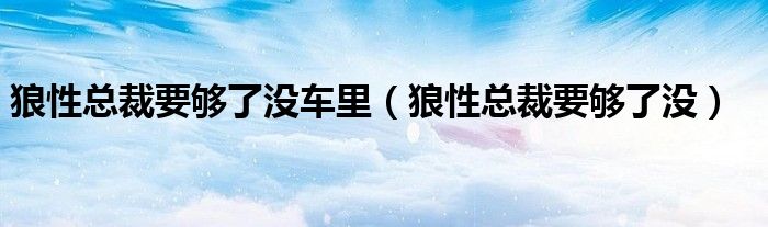 狼性总裁要够了没车里（狼性总裁要够了没）