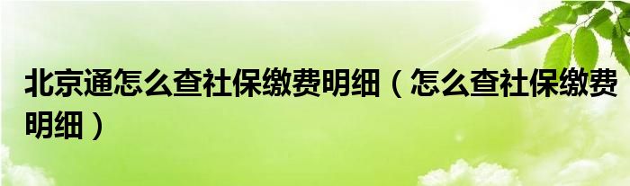 北京通怎么查社保缴费明细（怎么查社保缴费明细）