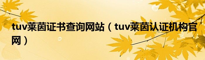 tuv莱茵证书查询网站（tuv莱茵认证机构官网）