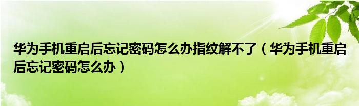 华为手机重启后忘记密码怎么办指纹解不了（华为手机重启后忘记密码怎么办）