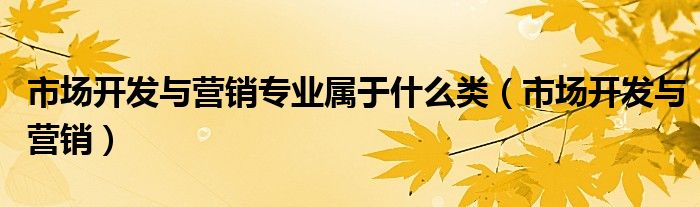 市场开发与营销专业属于什么类（市场开发与营销）