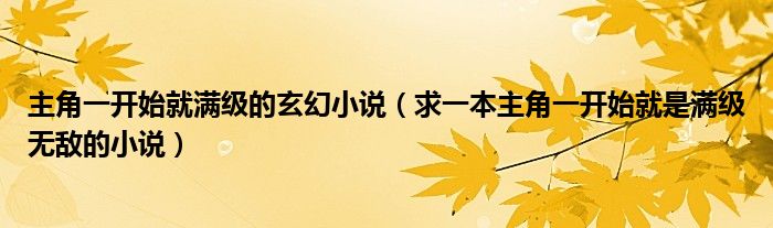 主角一开始就满级的玄幻小说（求一本主角一开始就是满级无敌的小说）