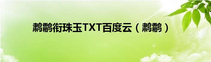 鹔鹴衔珠玉TXT百度云（鹔鹴）