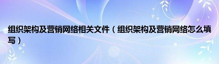 组织架构及营销网络相关文件（组织架构及营销网络怎么填写）