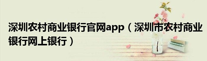 深圳农村商业银行官网app（深圳市农村商业银行网上银行）