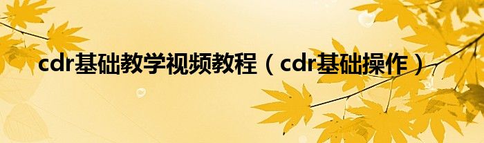 cdr基础教学视频教程（cdr基础操作）